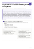 Payment Transactions and Payment Disruptions