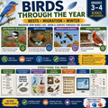 Birds Through the Year: Nests, Migration & Winter | Science Unit (Grades 3-4)