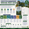 Ecosystem Management | Biodiversity, Sustainability & Ecological Systems