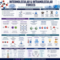Intermolecular & Intramolecular Forces – Understanding Molecular Interactions