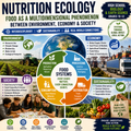 Nutrition Ecology Teaching Resources | Food Systems, Sustainability & Environmental Science | High School Biology