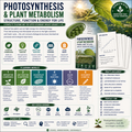 Photosynthesis and Plant Metabolism | Leaf Structure, Chloroplasts & the Calvin Cycle