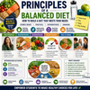 Principles of a Balanced Diet - High School Unit