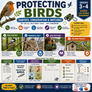All About Birds BUNDLE: 3 Units · 12 Lessons | Elementary Science (Grades 3-4)