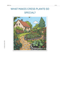 Cress in the Classroom – Biology Kit with Experiments (Grades 5–7)