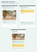 Understanding Horses: Jigsaw, Picture Cards & Escape Room – Life Science / Animal Welfare unit, sample page, Grades 6–8