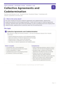 Collective Agreements and Codetermination