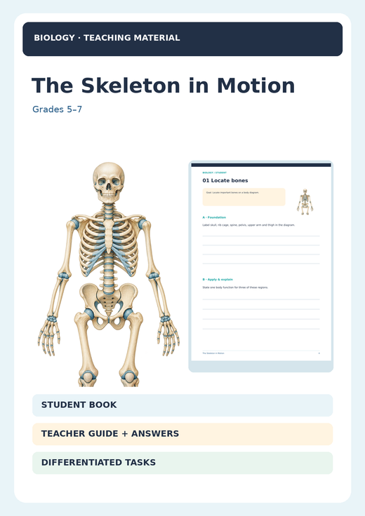 The Skeleton in Motion | Bones, Joints & Muscles | Life Science Unit | Grades 3–5