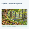 Explore a Forest Ecosystem | Habitat, Forest Layers, Food Webs & Decomposers | Life Science Unit | Grades 5–7