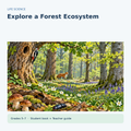 Explore a Forest Ecosystem | Habitat, Forest Layers, Food Webs & Decomposers | Life Science Unit | Grades 5–7