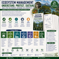 Ecosystem Management | Biodiversity, Sustainability & Ecological Systems