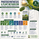 Printable high school biology unit covering photosynthesis, plant metabolism, leaf anatomy, chloroplasts, light-dependent reactions, Calvin cycle, ATP, NADPH, carbon fixation, plant adaptations, and scientific investigations.