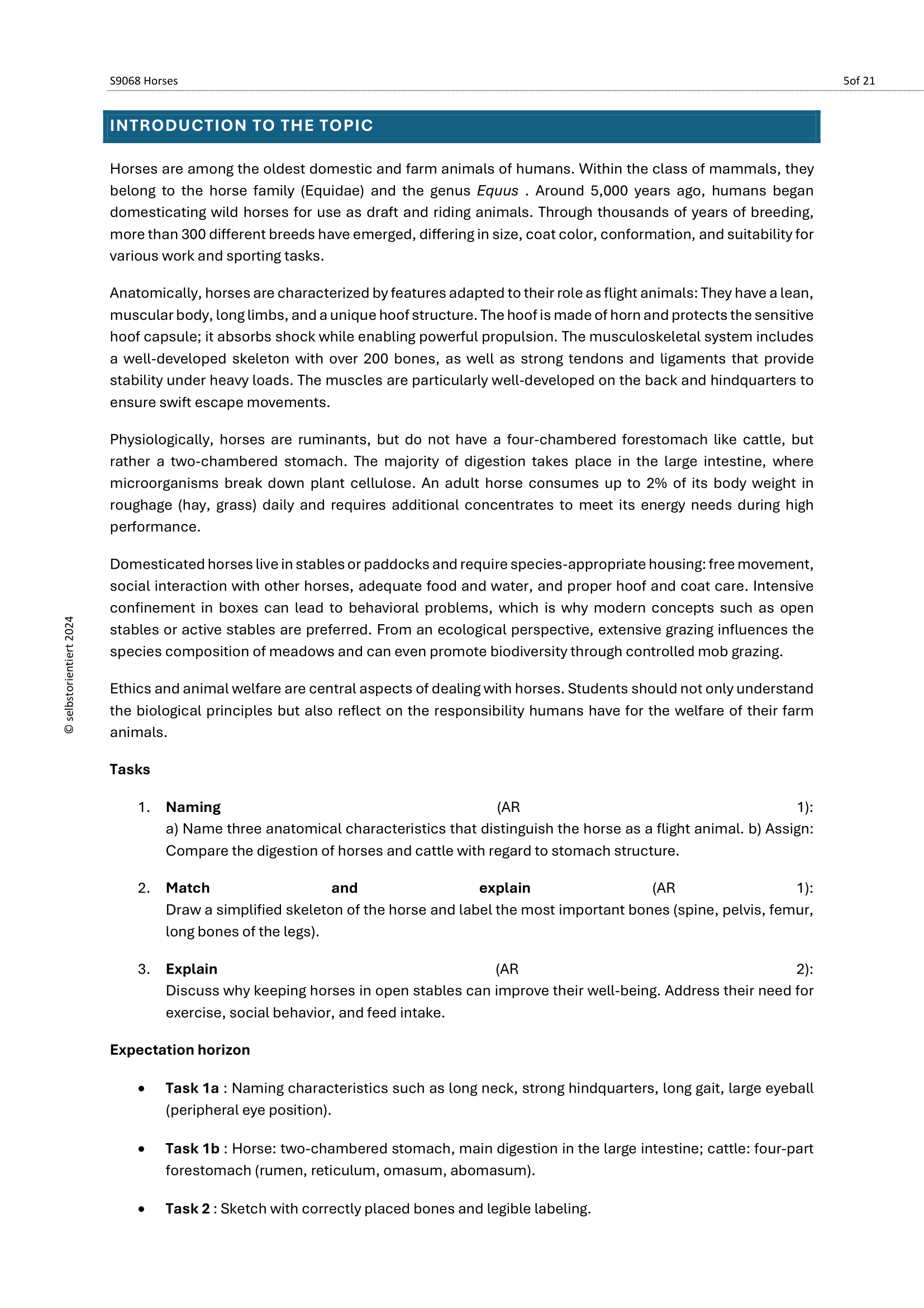 Understanding Horses – Cross-Curricular Teaching Material (Grades 5–9)