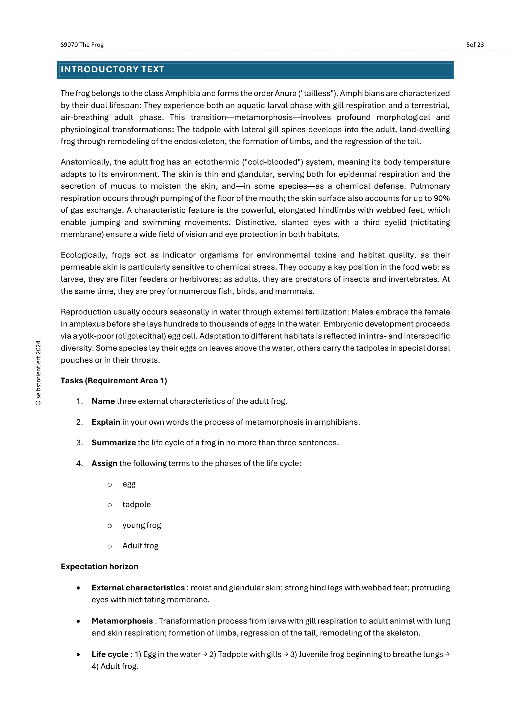 Frogs in the Ecosystem – Biology Lessons (Grades 5–7) | Life Cycles & Habitats